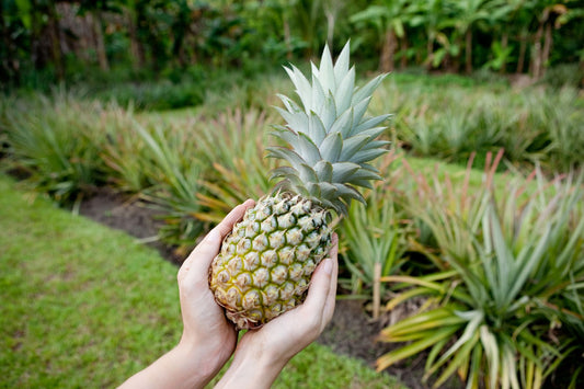 Golden Goodness: Your Expert Guide on How to Pick a Ripe Pineapple